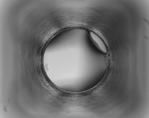 X0000099510485200806051150