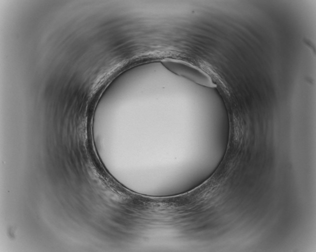 X0000099510486200806051150