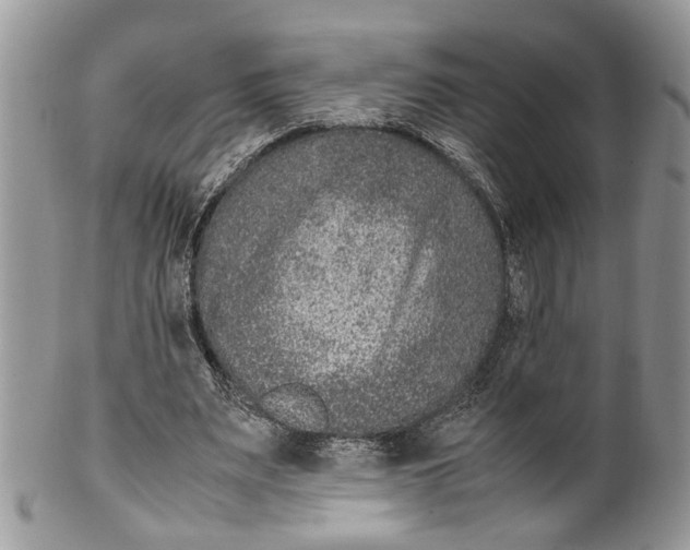 X0000099510487200806051150