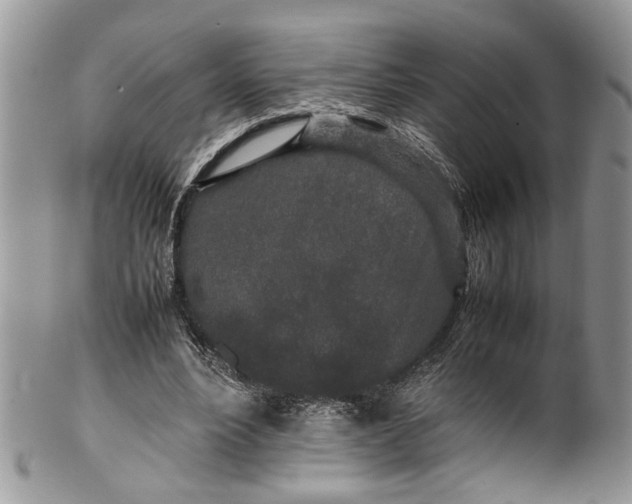 X0000099510488200806051150