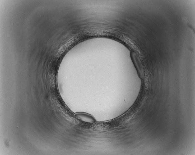 X0000099510489200806051150