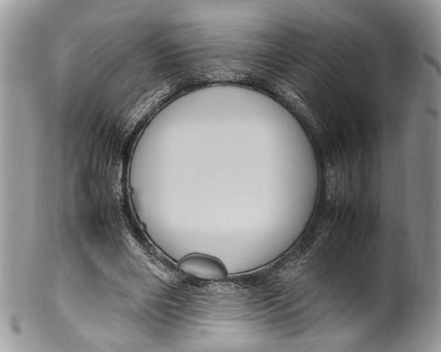 X0000099510490200806051150