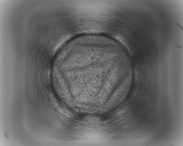 X0000099510491200806051150