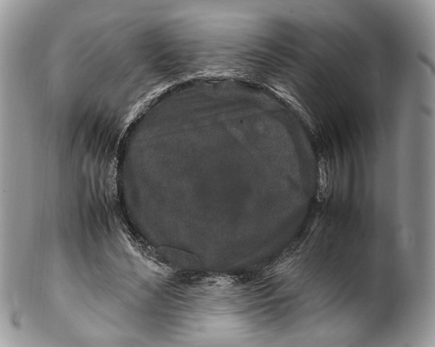 X0000099510492200806051150