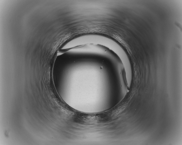 X0000099510493200806051150