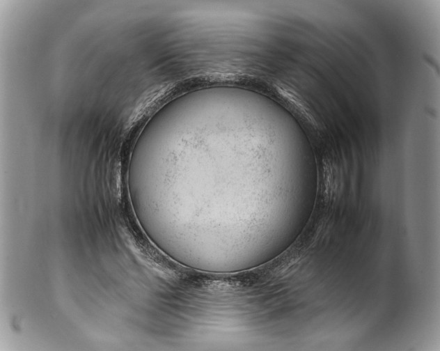 X0000099510494200806051150