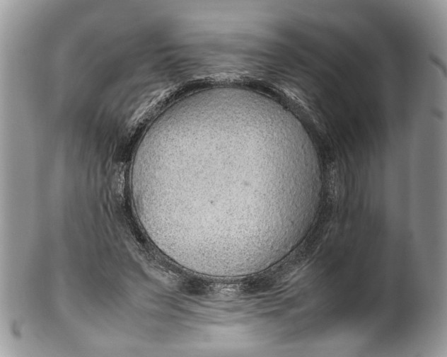 X0000099510495200806051150