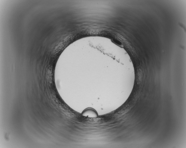 X0000099510497200806051150