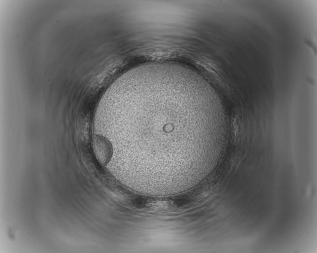 X0000099510499200806051150