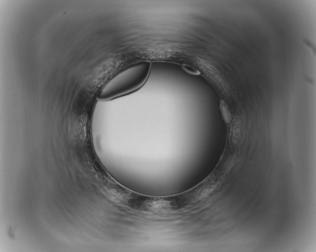 X0000099510501200806051150