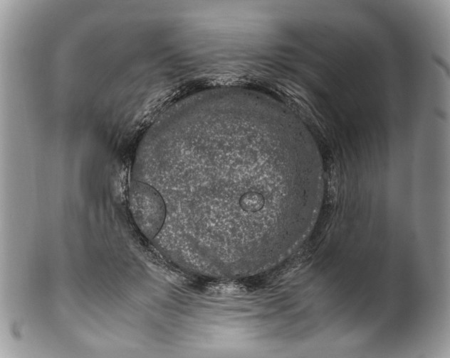 X0000099510503200806051150