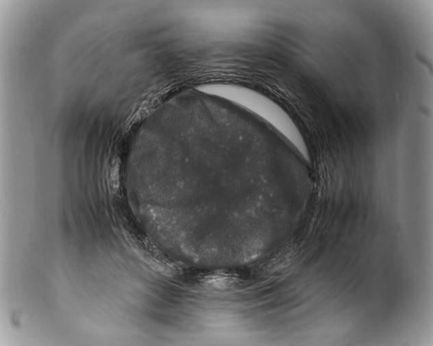 X0000099510504200806051150