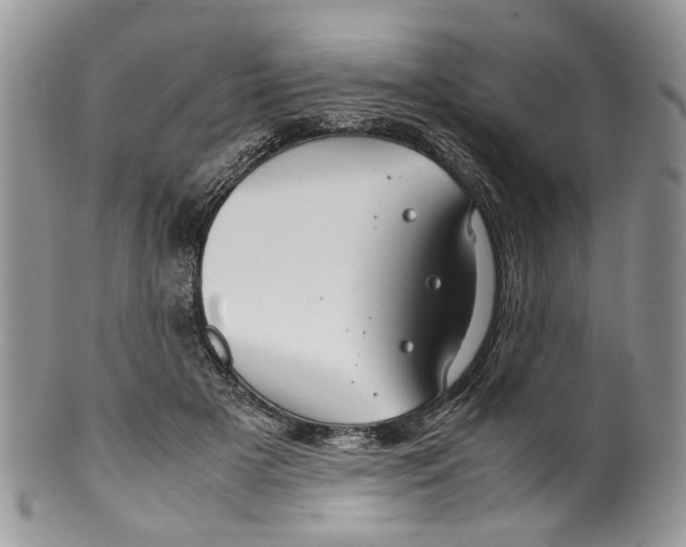 X0000099510505200806051150