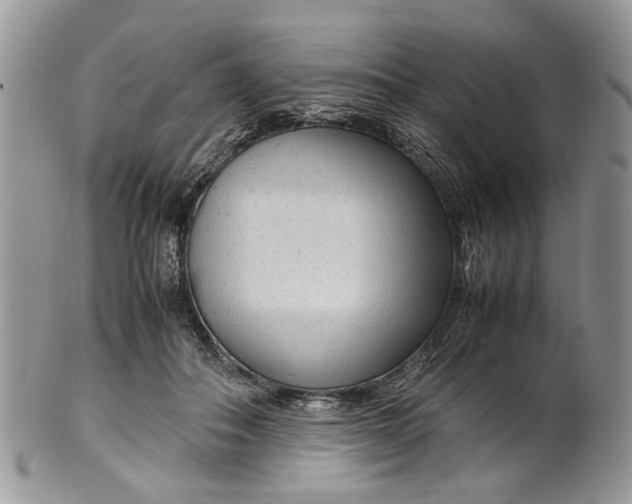 X0000099510506200806051150