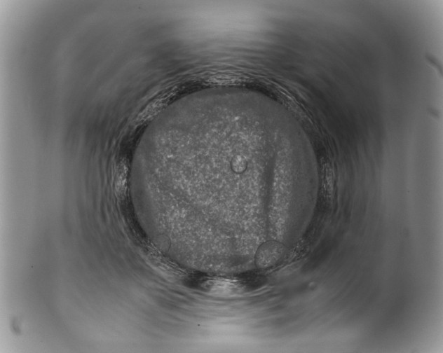 X0000099510507200806051150