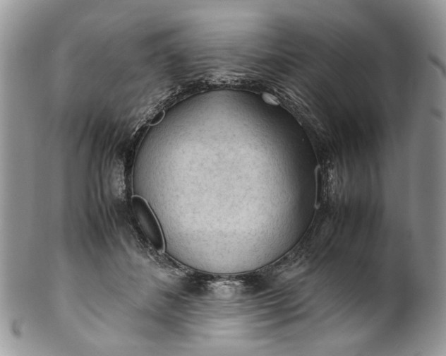 X0000099510508200806051150