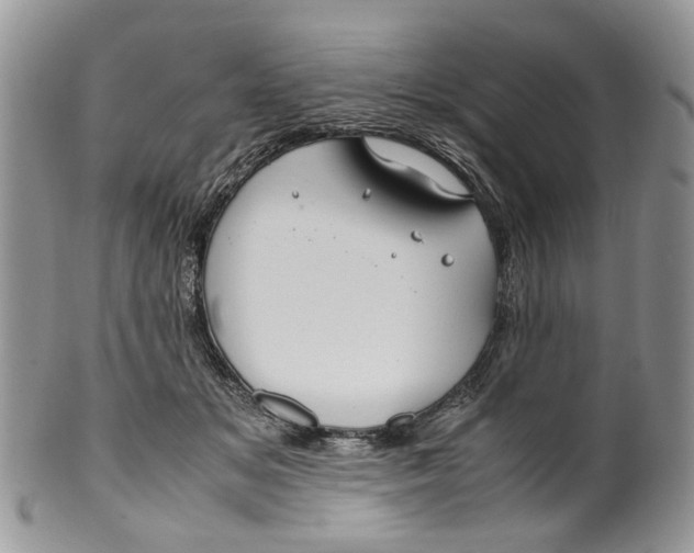 X0000099510509200806051150