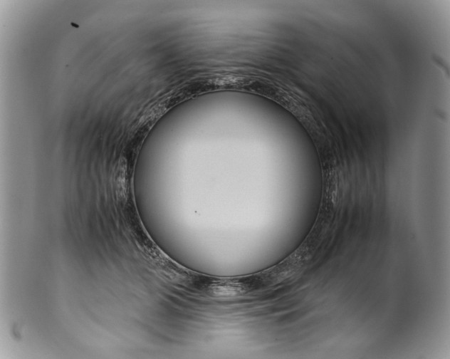 X0000099510510200806051150