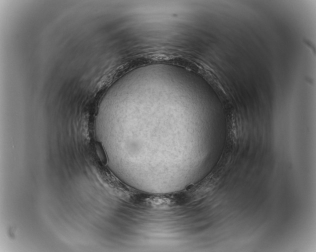 X0000099510512200806051150