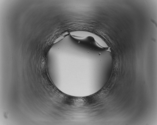 X0000099510513200806051150