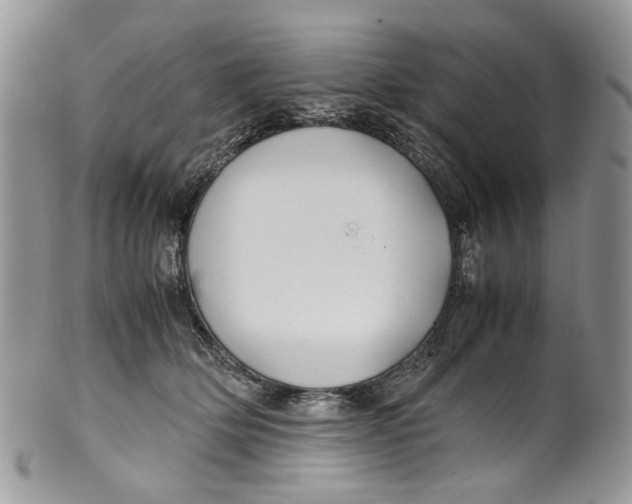 X0000099510514200806051150