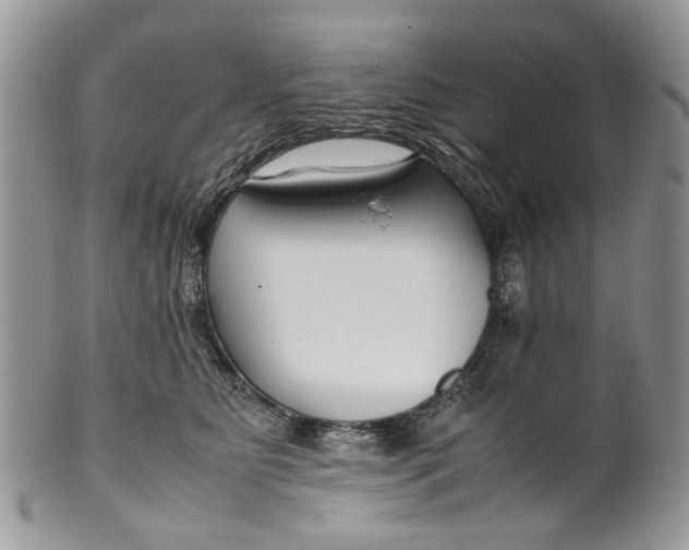 X0000099510515200806051150