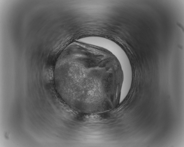 X0000099510517200806051150