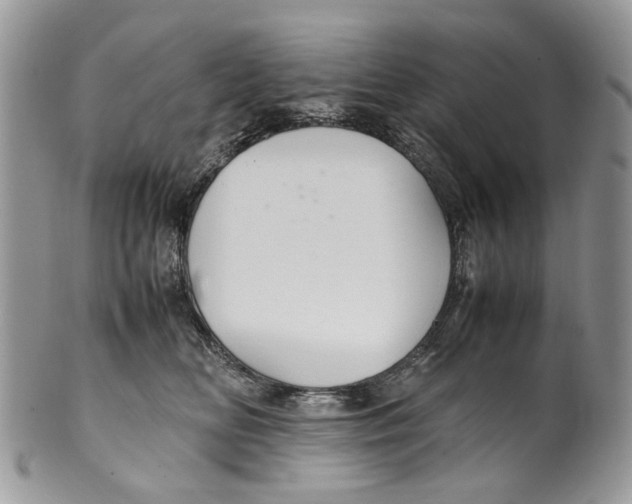 X0000099510518200806051150