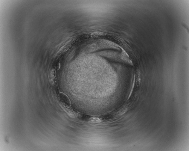 X0000099510519200806051150