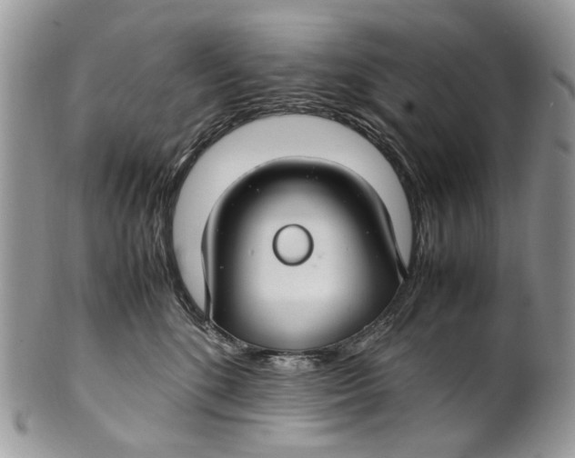 X0000099510520200806051150