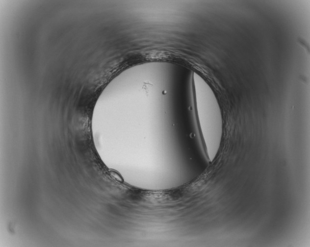 X0000099510521200806051150