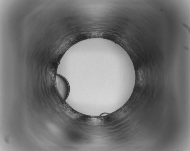 X0000099510522200806051150