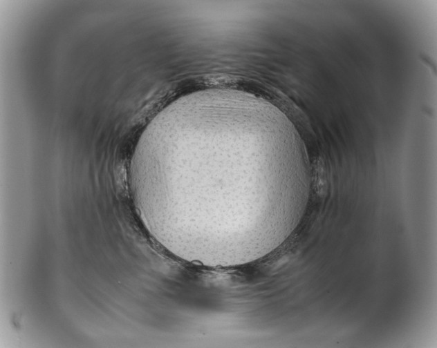 X0000099510523200806051150