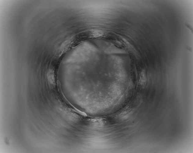 X0000099510524200806051150