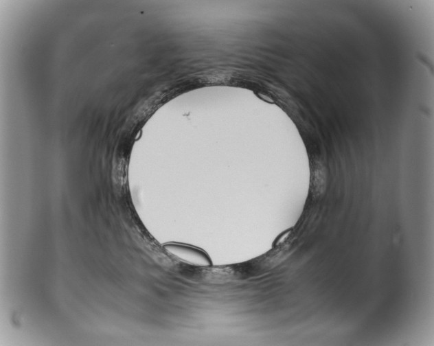 X0000099510525200806051150