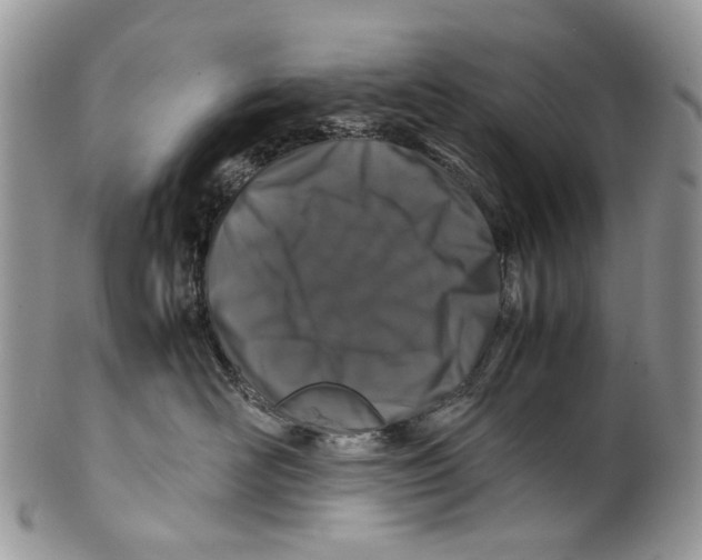 X0000099510526200806051150