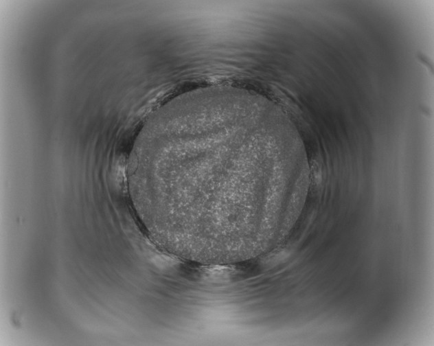 X0000099510527200806051150