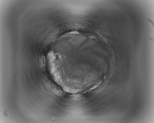 X0000099510528200806051150