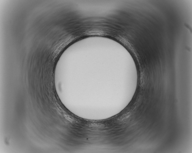 X0000099510529200806051149