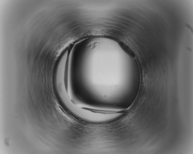 X0000099510530200806051149