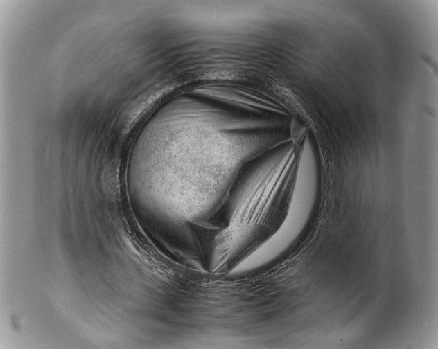 X0000099510531200806051149