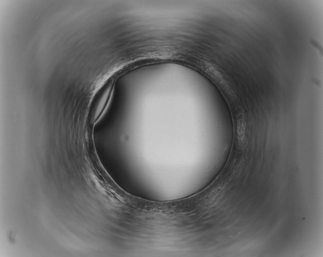 X0000099510532200806051149