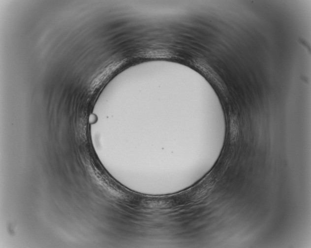 X0000099510533200806051149