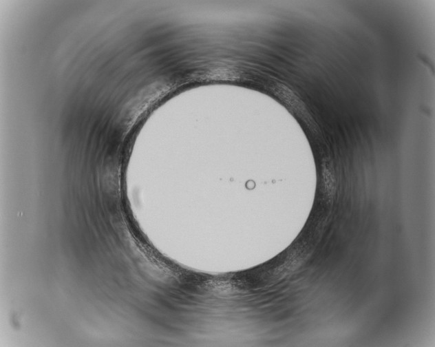 X0000099510534200806051149