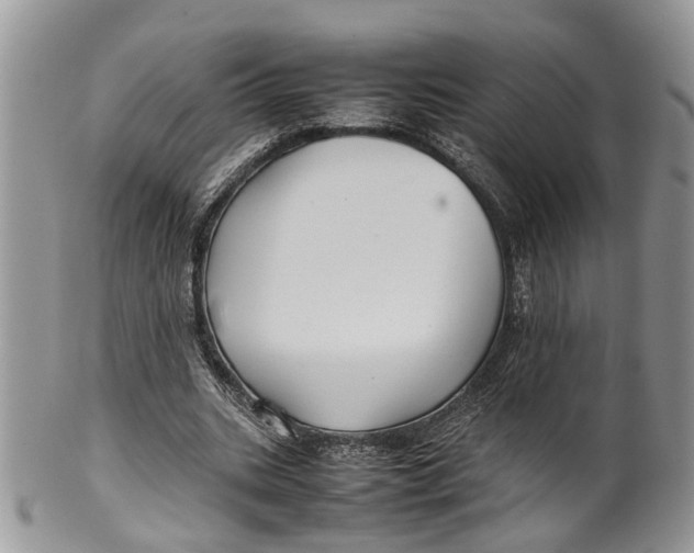 X0000099510535200806051149