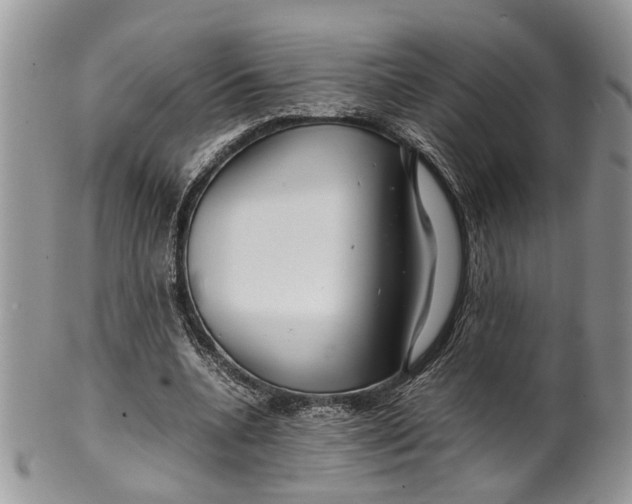 X0000099510536200806051149