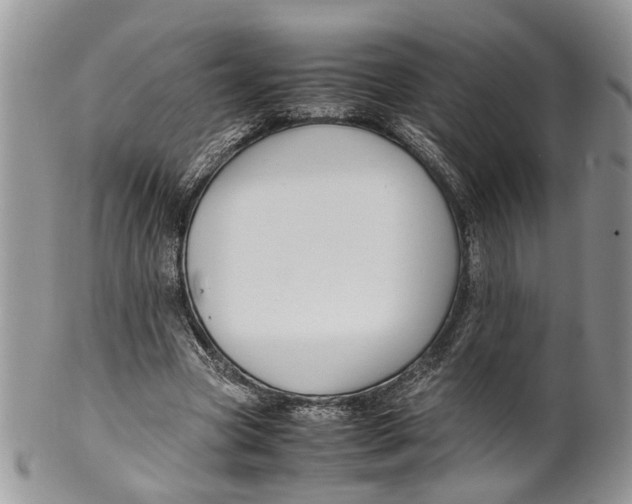 X0000099510537200806051149