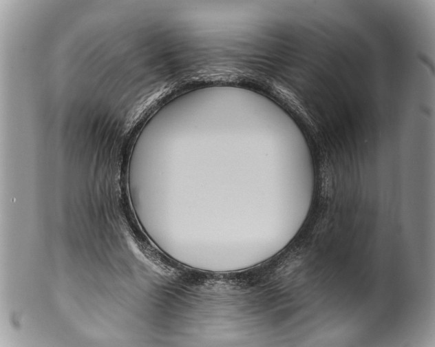 X0000099510538200806051149