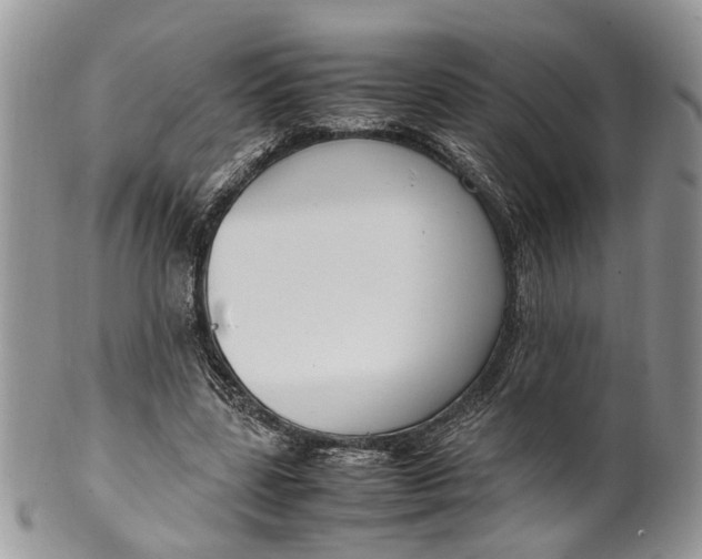 X0000099510539200806051149