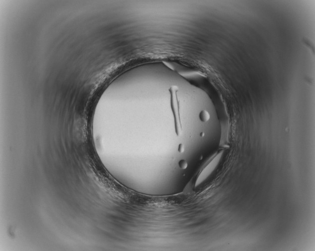 X0000099510540200806051149